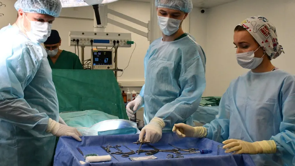 Фото: медиасток.рф