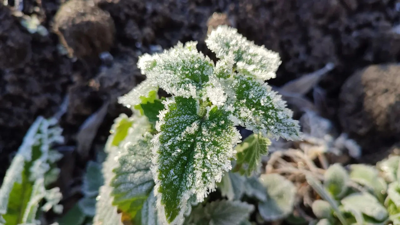 Фото: REGIONS/Елена Фурман