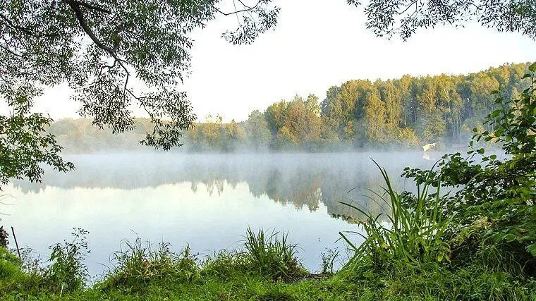 Фото: t.me/serpukhov_serpuhov