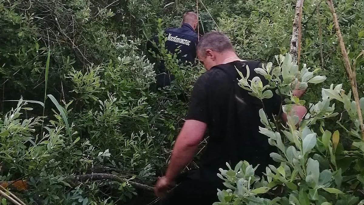 Фото: ГКУ МО «Мособлпожспас»