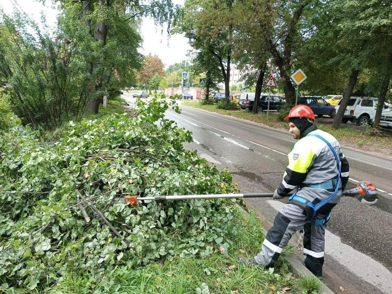 Фото: Мособлэнерго