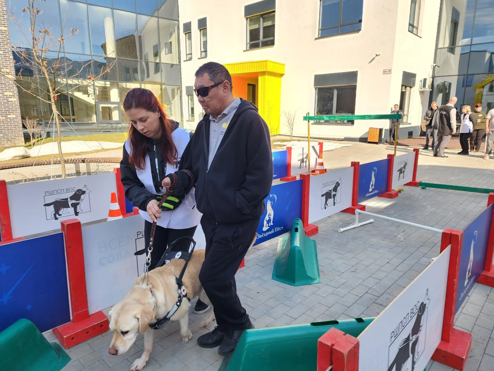 REGIONS/Елена Шумакова