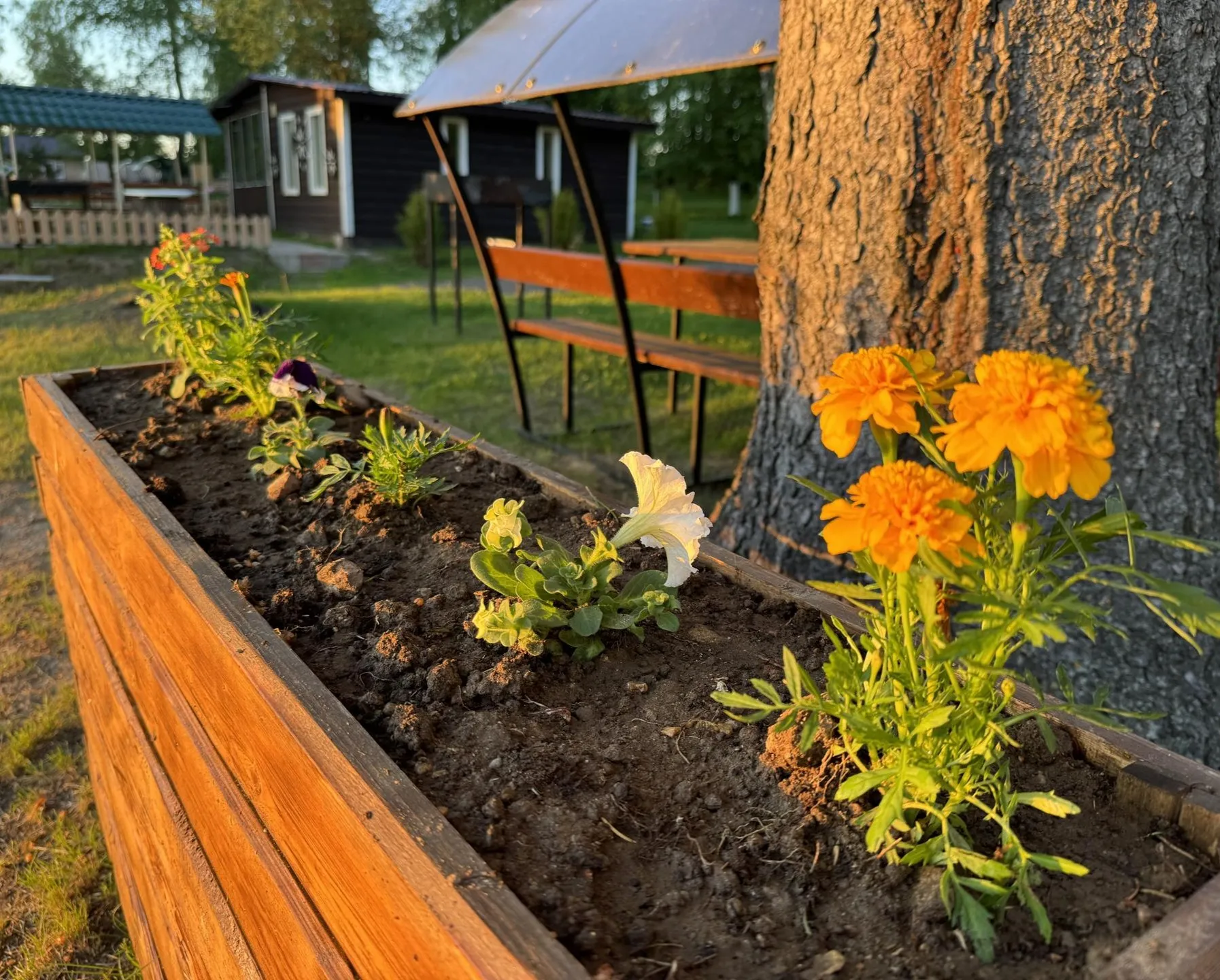 Фото: пресс-служба Администрации Можайского городского округа