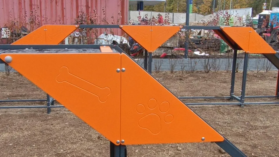 Фото: МедиаБанк Подмосковья/Екатерина Дятловская