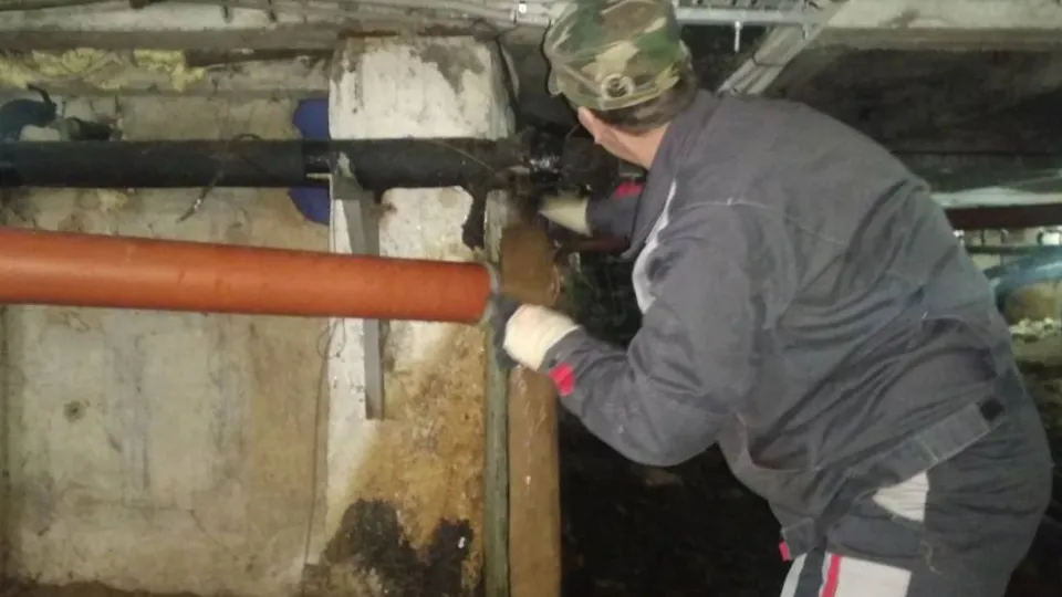 Фото: МедиаБанк Подмосковья/Евгений Рой