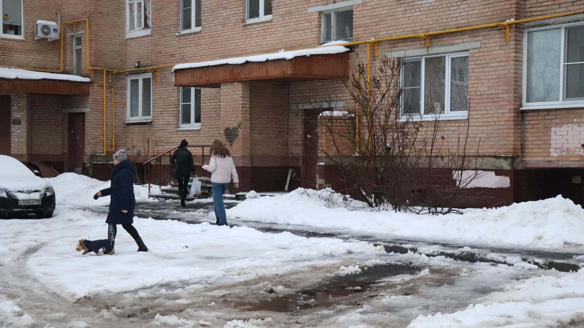 Фото: Василий Тремасов