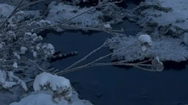 Минэкологии МО