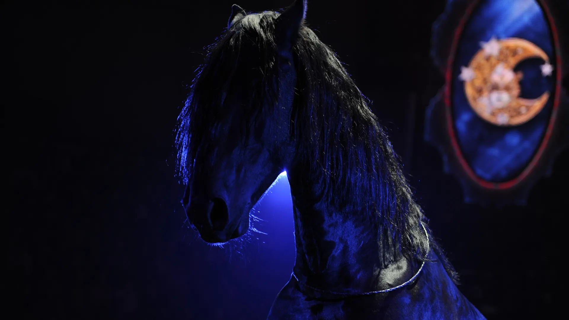 Трагедия на арене: в нижегородском цирке акробат получил тяжелые травмы при падении с лошади