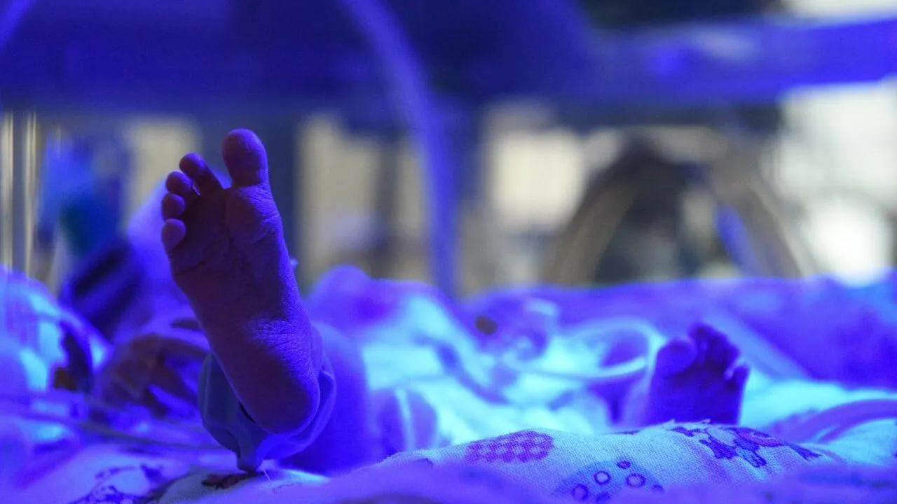 Фото: Пресс-служба Минздрава МО