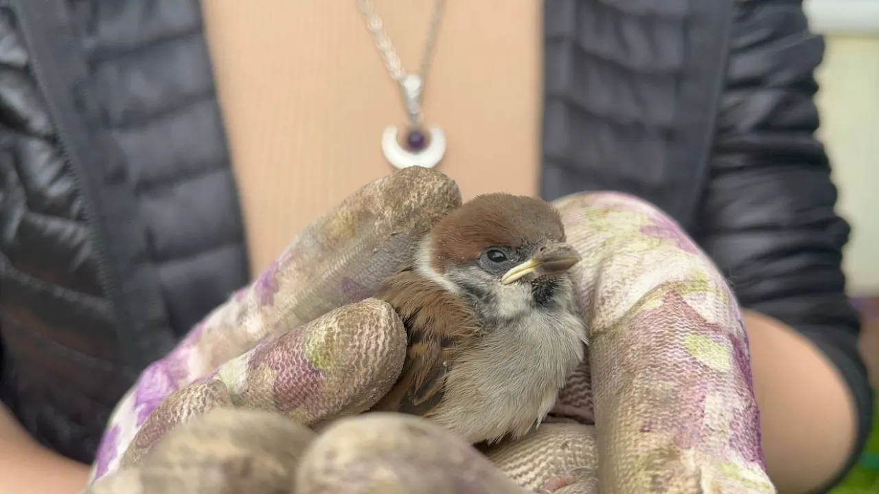 Екатерина Морозова