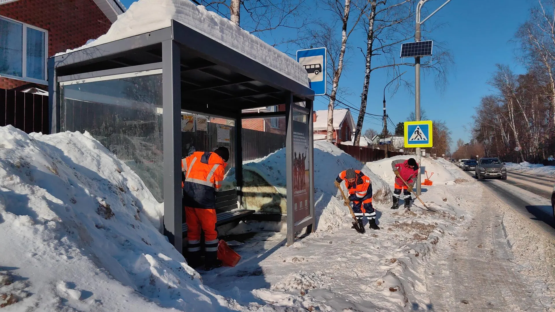 Елена Катасонова
