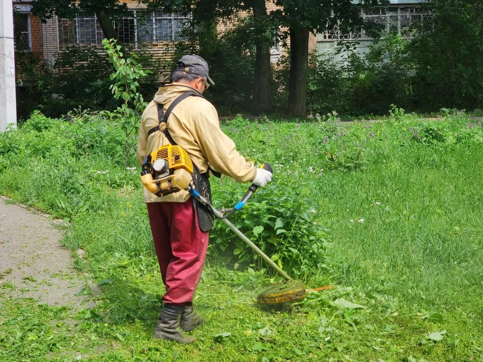 Фото: Дмитрий Алексеенко