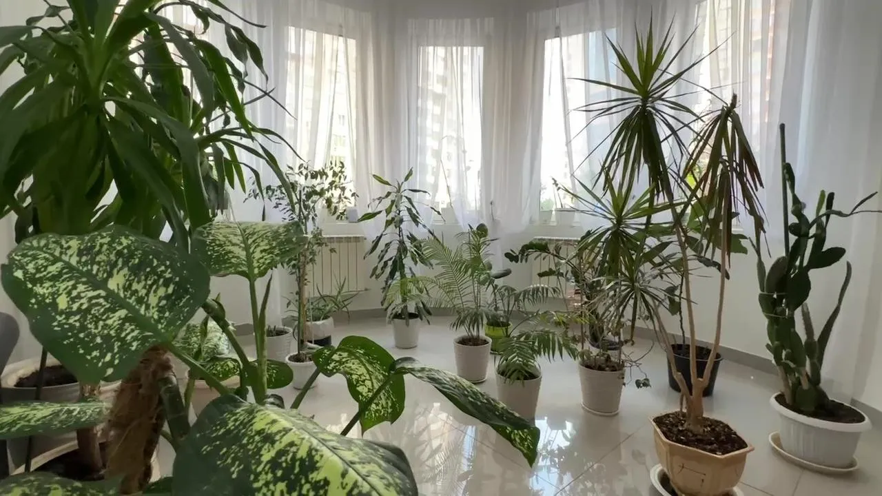 Ксения Казакова