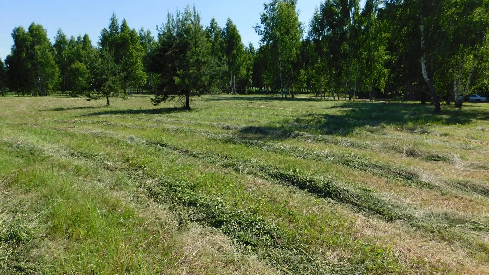 Фото: Медиабанк МО