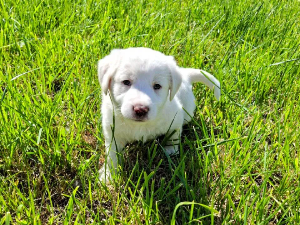 Фото: REGIONS/Юлия Габбасова