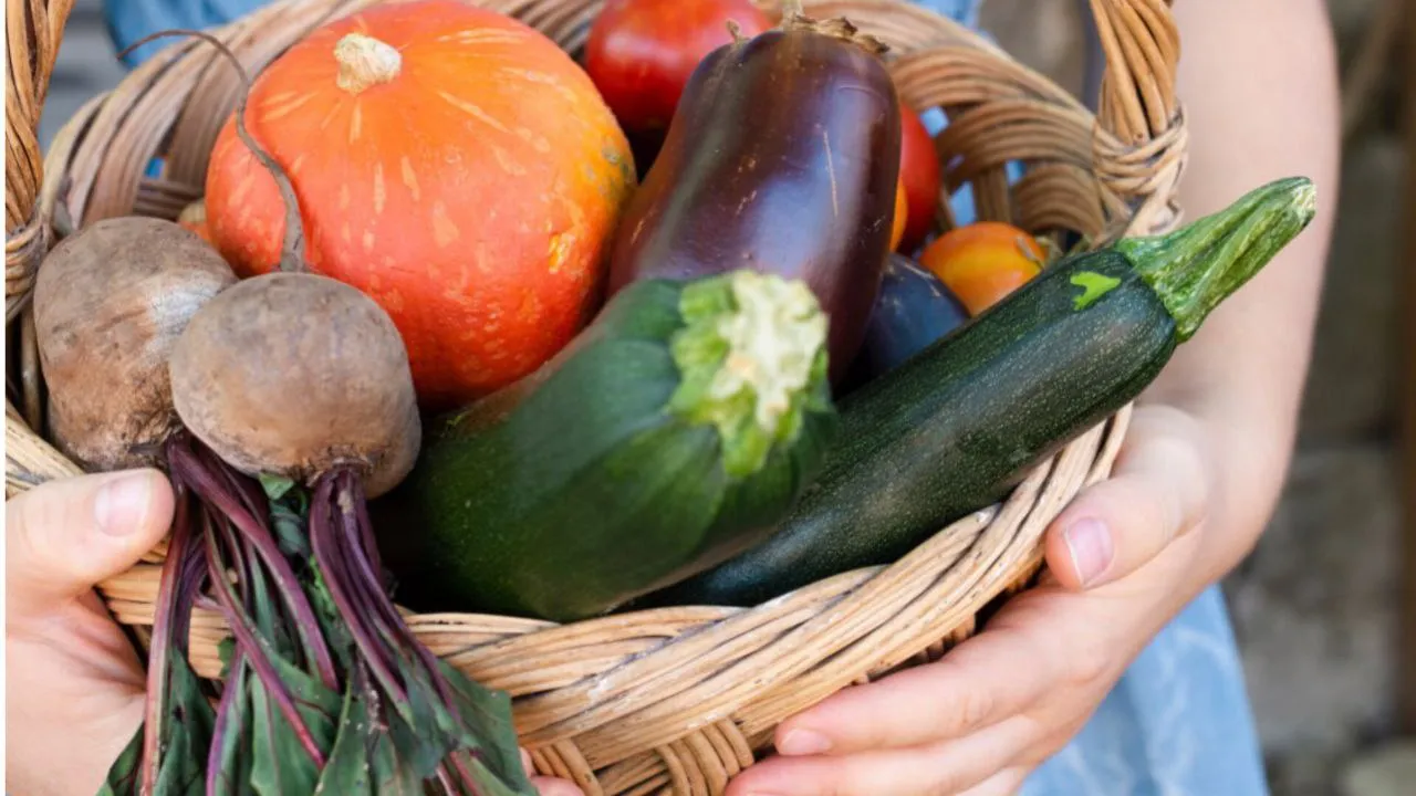 Фото: freepik.com