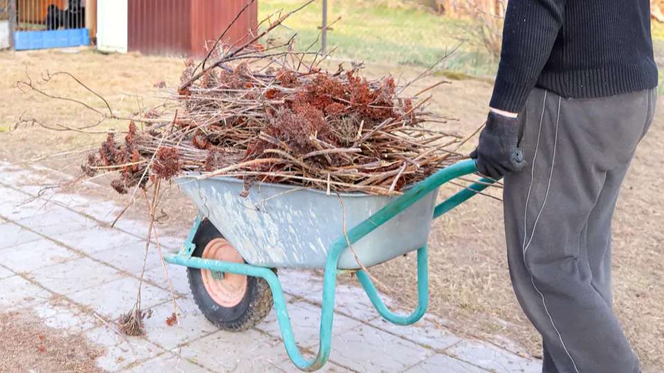 Фото: istockphoto.com