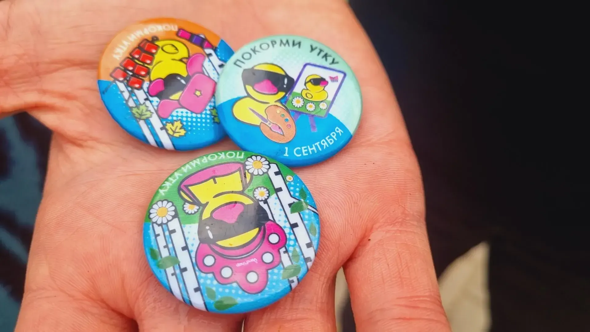 Фото: Ольга Егиян