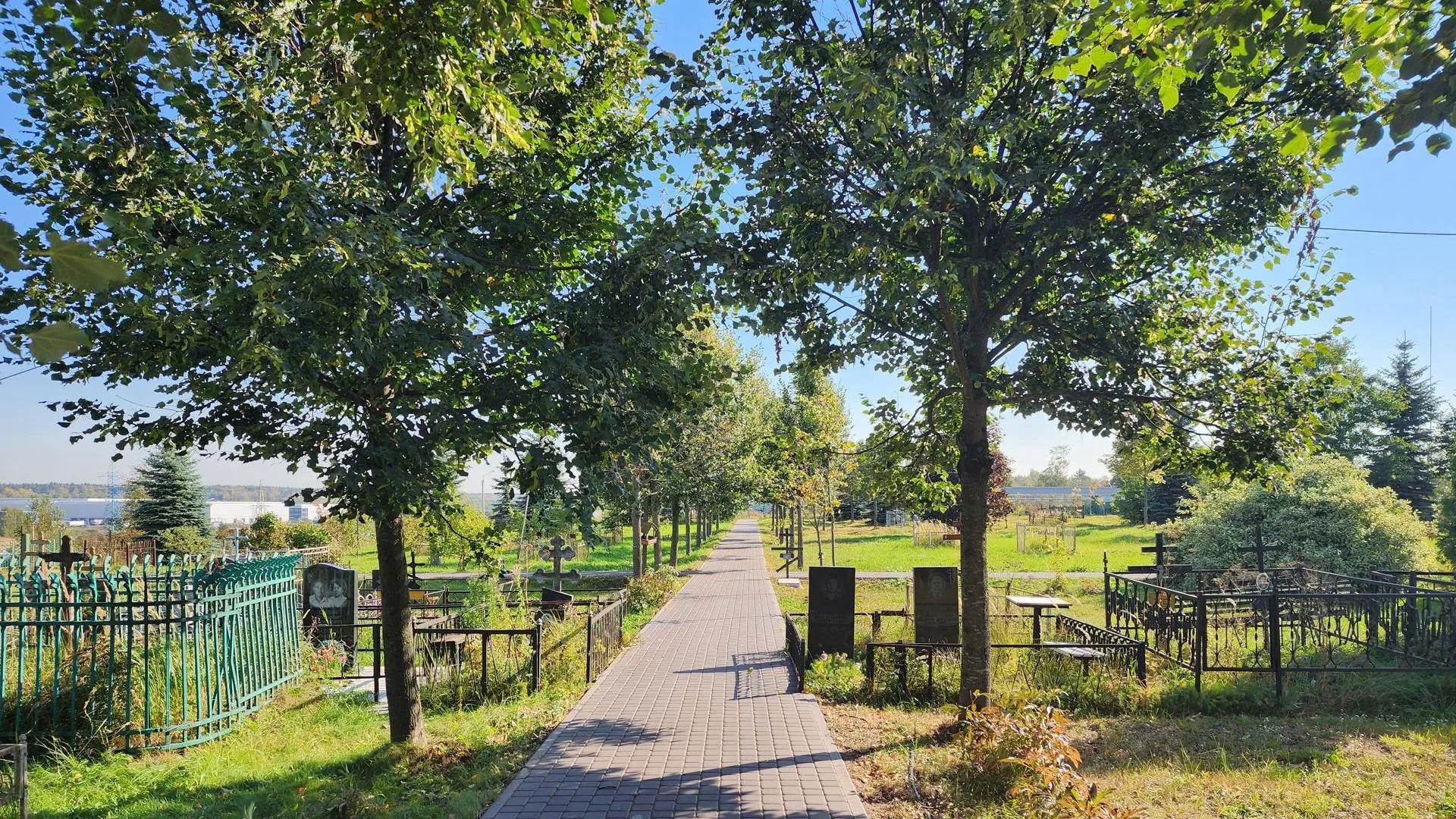 Фото: Роман Савельев