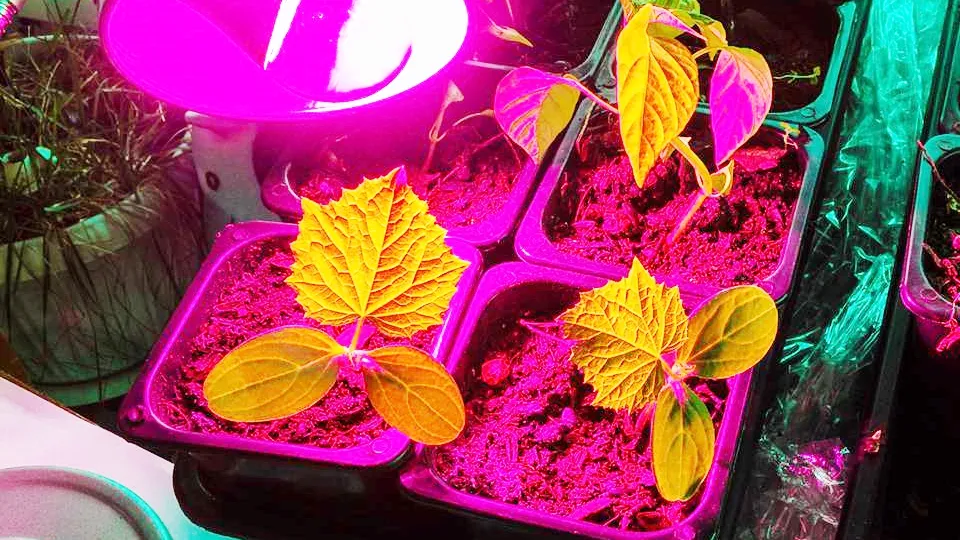 Фото: istockphoto.com/Дмитрий Коростылев