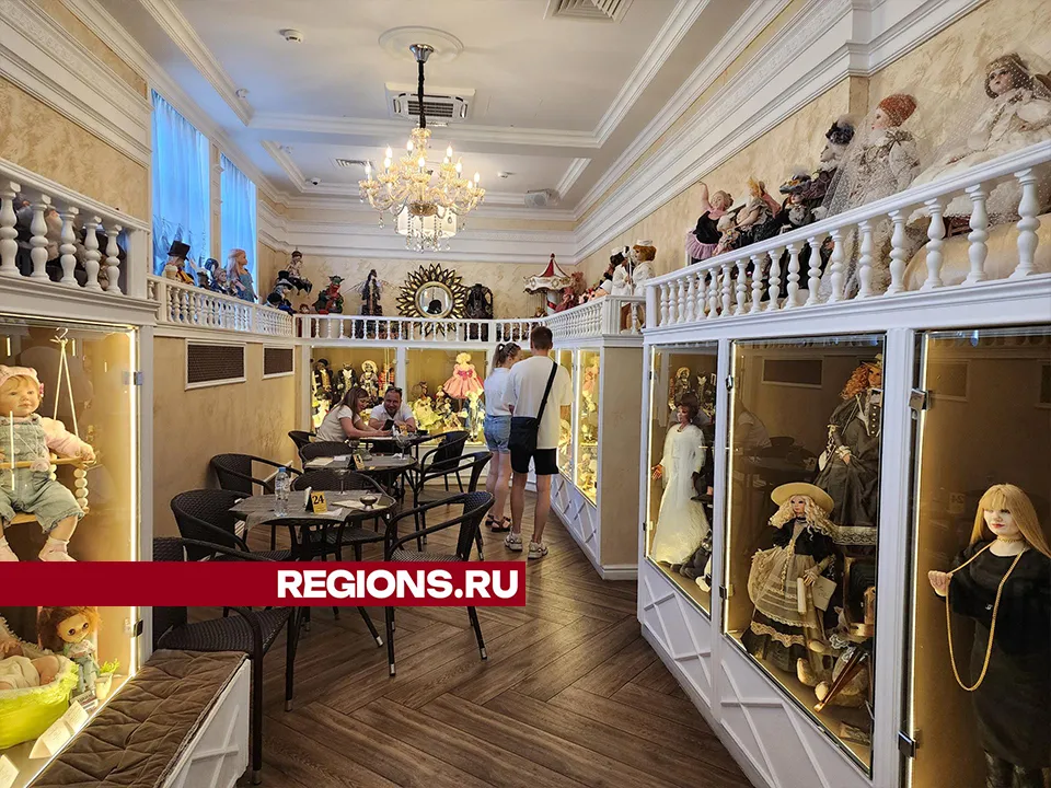 Фото: Александр Степушкин