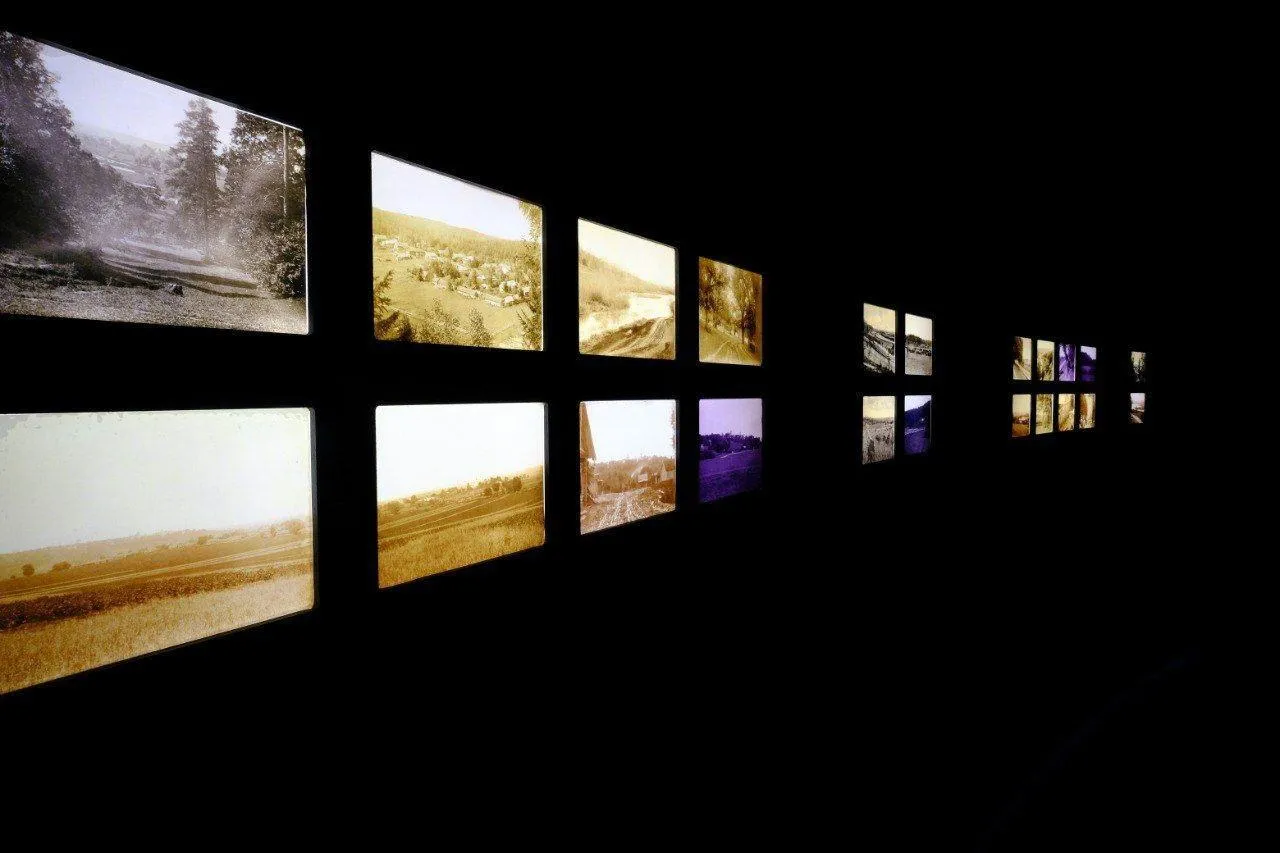 Фото: Хавива Фонина