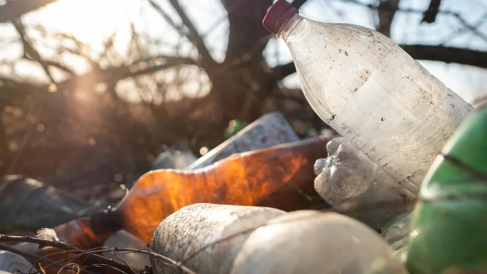 Фото: freepik.com