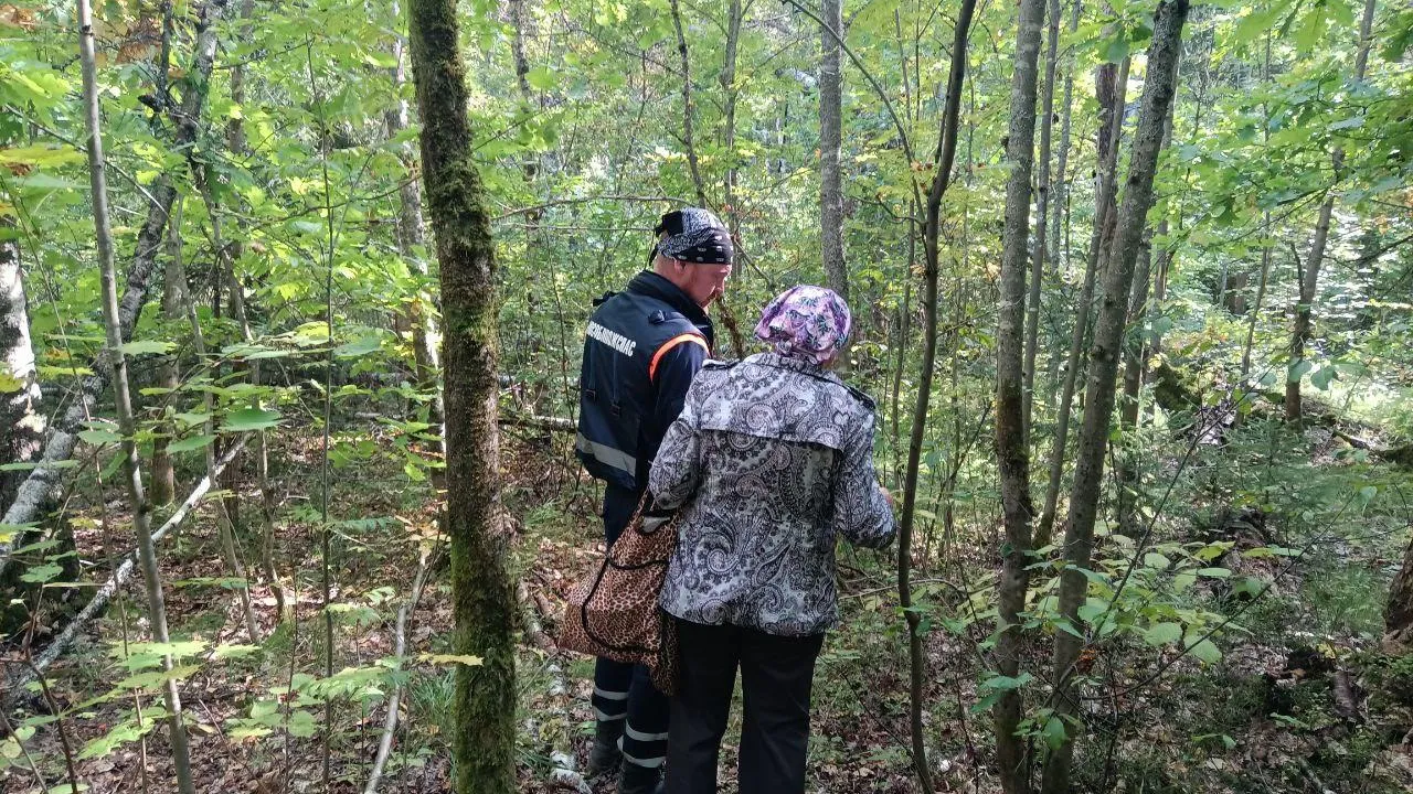 Фото: ГКУ МО «Мособлпожспас»