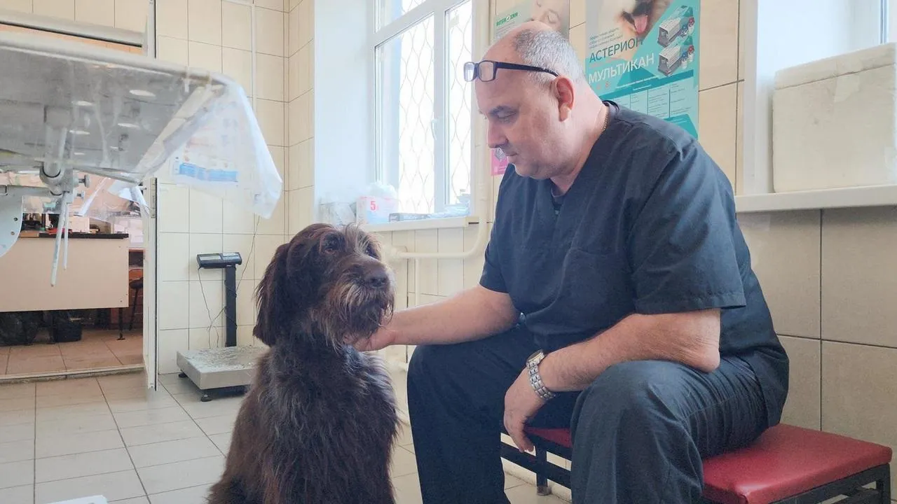 МедиаБанк Подмосковья/Анна Шолохова