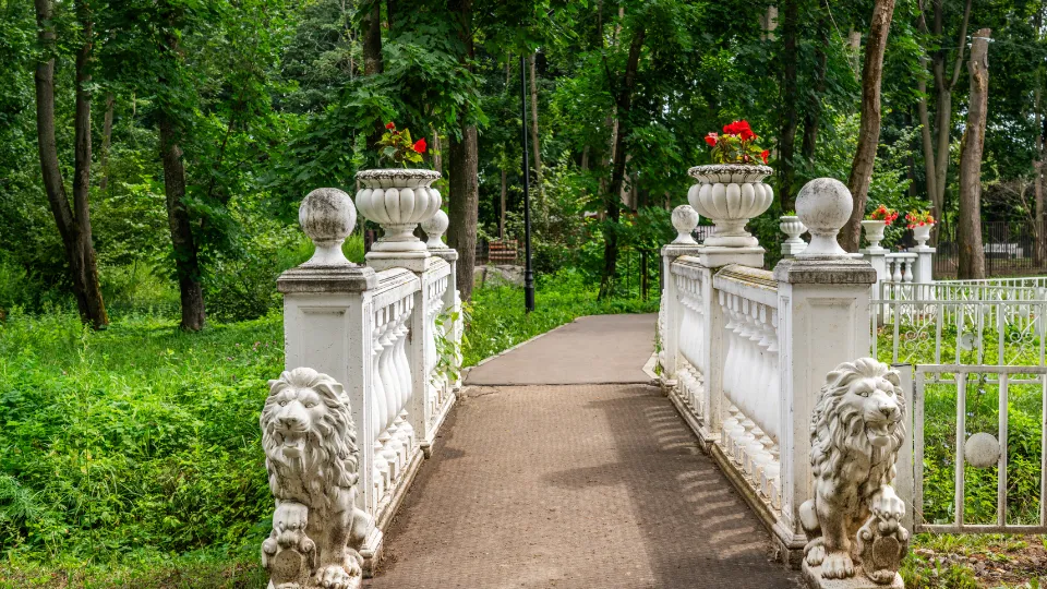 Фото: медиасток.рф