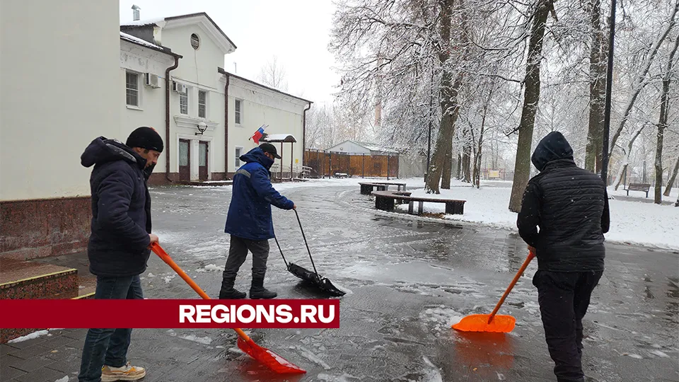 Фото: REGIONS/Александр Степушкин