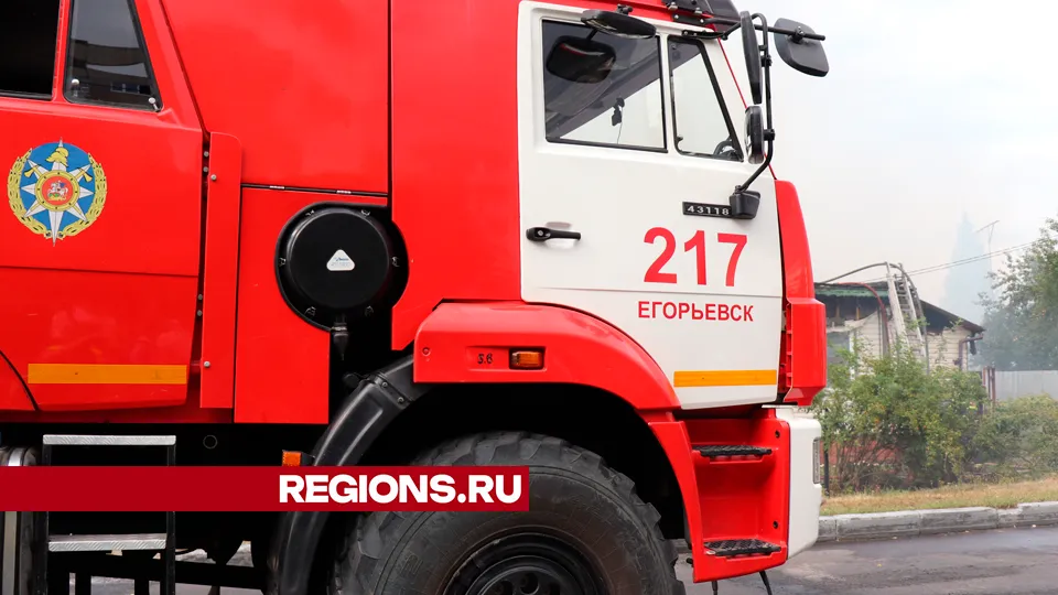 Фото: REGIONS/Василий Тремасов