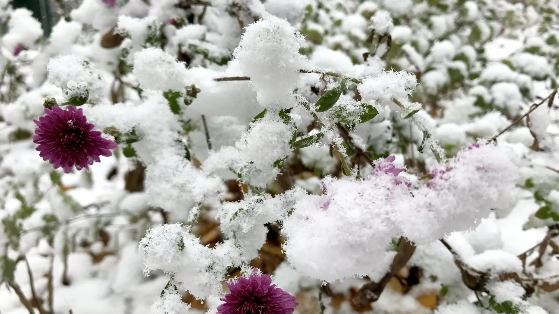 REGIONS/Александр Легкий