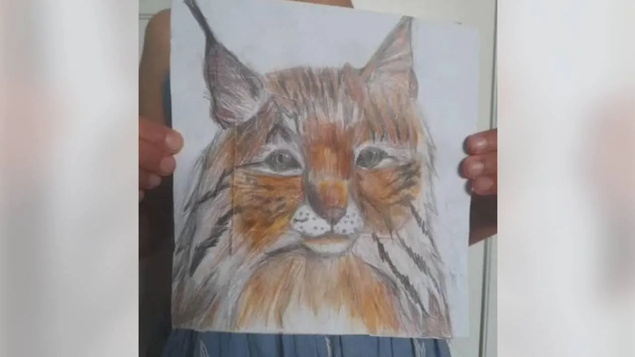 городская доска объявлений