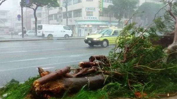 На Японию обрушился тайфун, есть пострадавшие