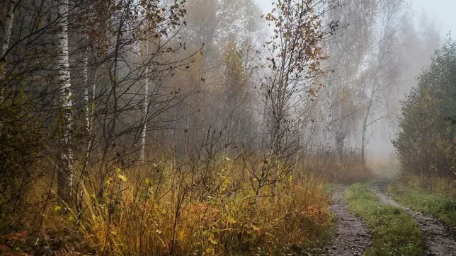 Фото vsegda-pomnim.com