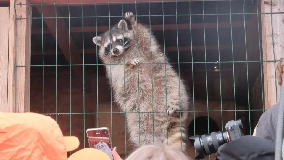 Фото: пресс-служба администрации г.о. Красногорск