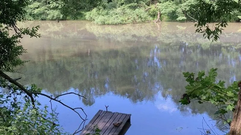 Фото: ФГБУК «Государственный исторический музей-заповедник «Горки Ленинские»