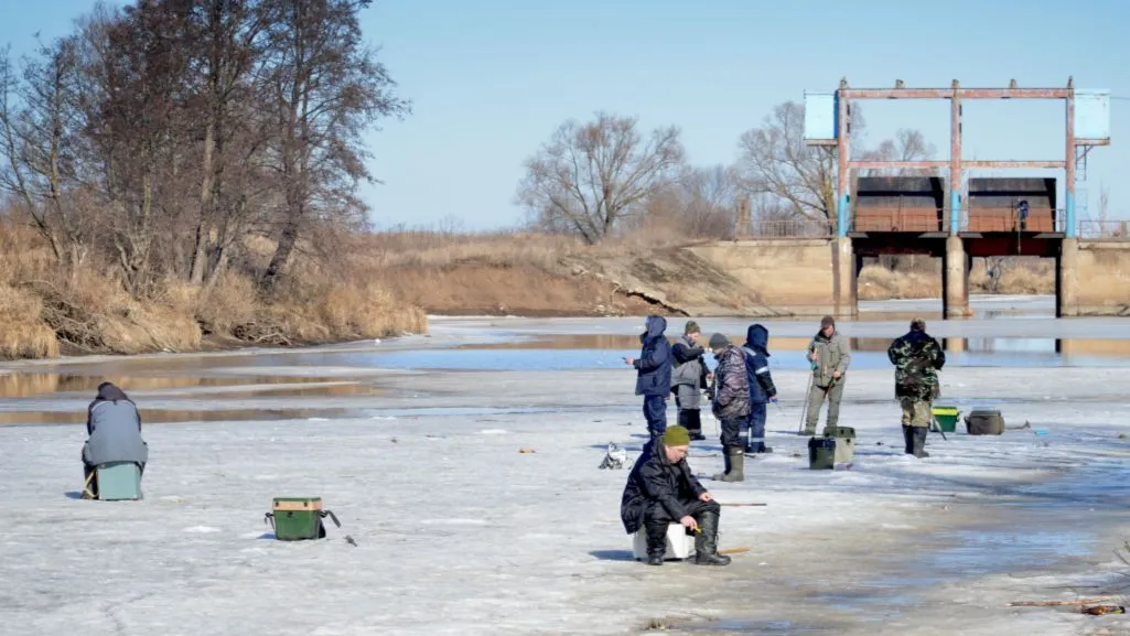 Фото: медиасток.рф