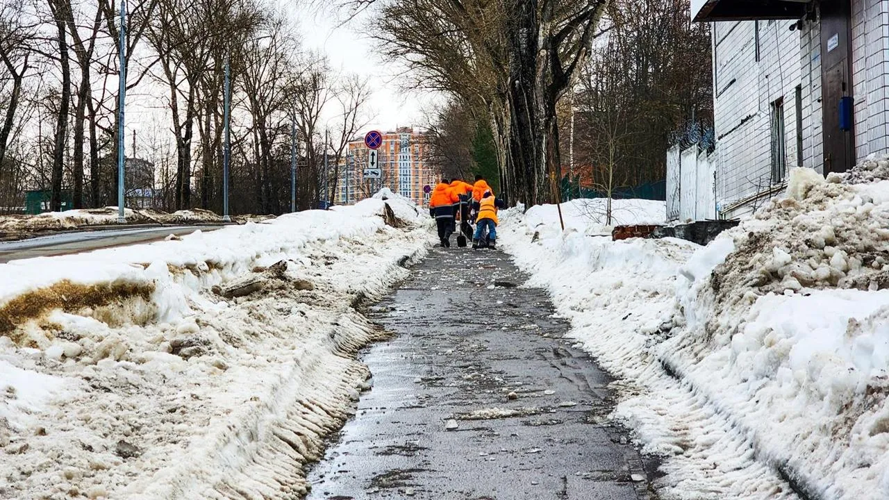 REGIONS/Мария Панина