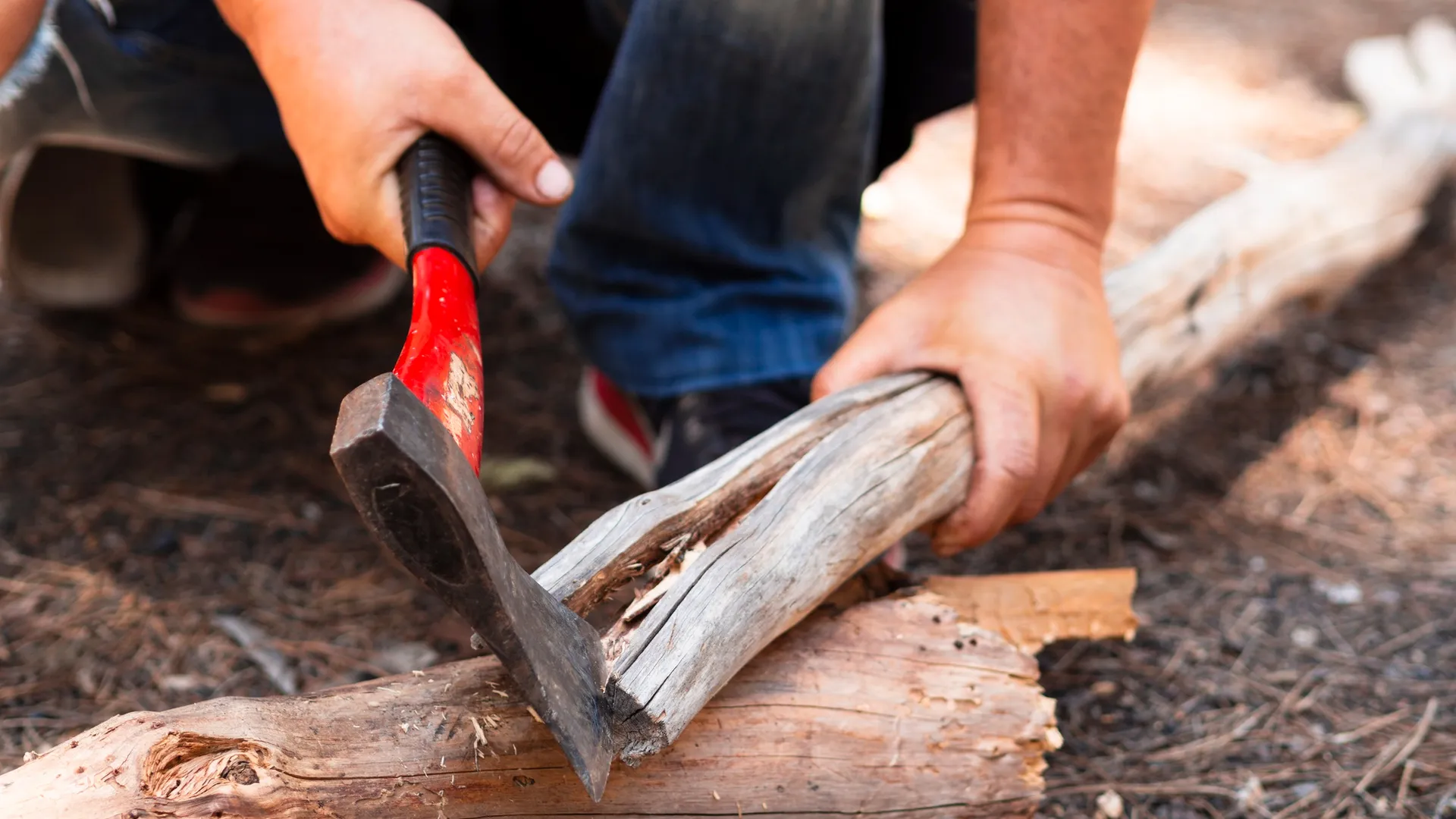 Фото: freepik.com