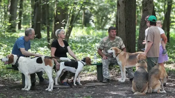 © Виталий Белоусов, РИА Новости