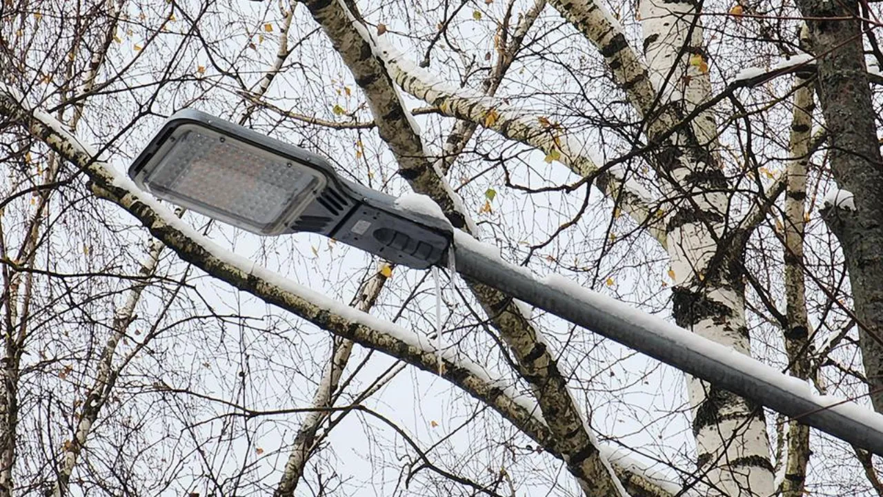 Фото: МедиаБанк Подмосковья/Валентина Максимова