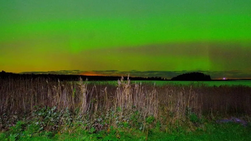 Фото: Анна Носова