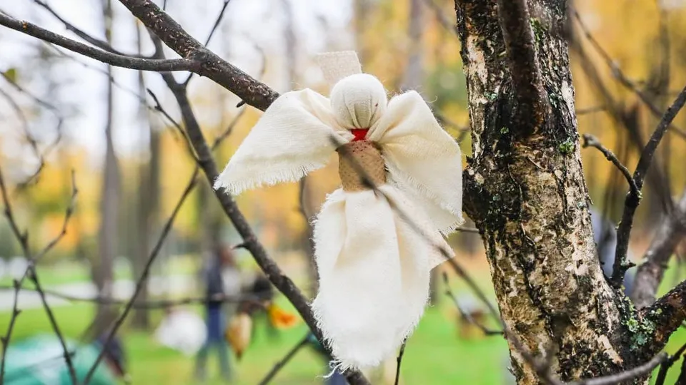 Фото: Раменский Медиацентр