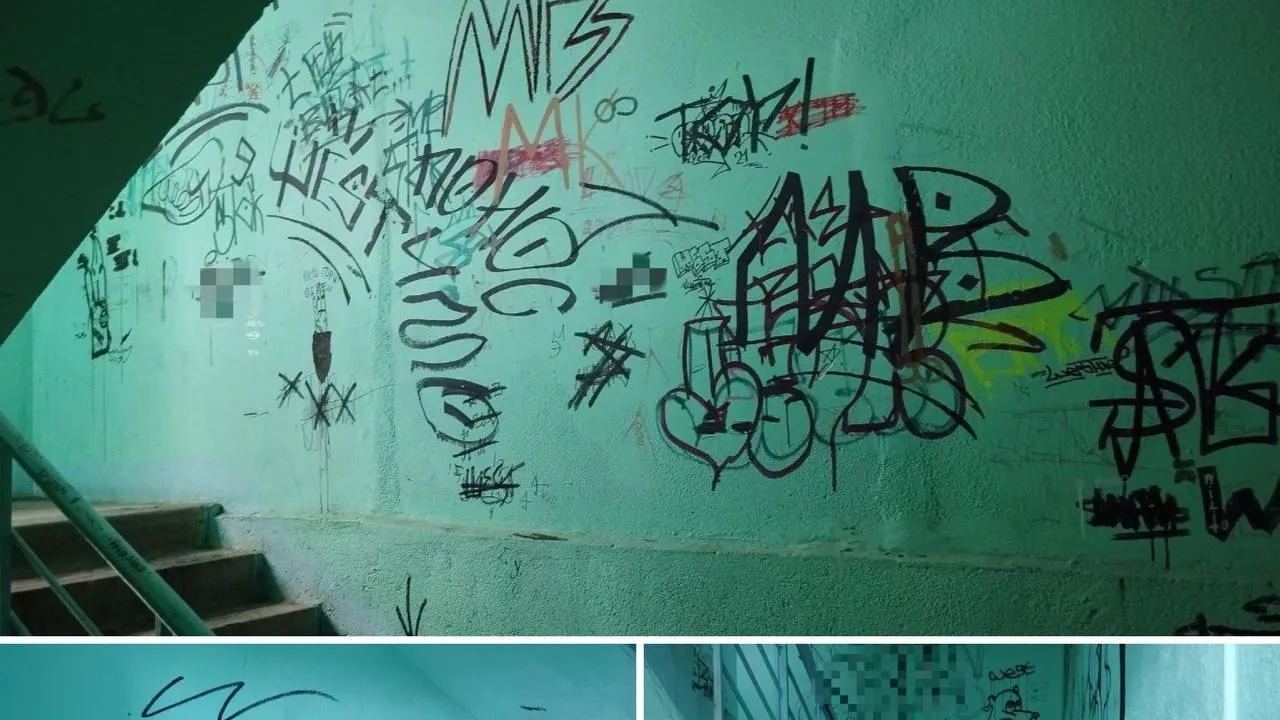 Фото: Администрация городского округа Истра / ВКонтакте