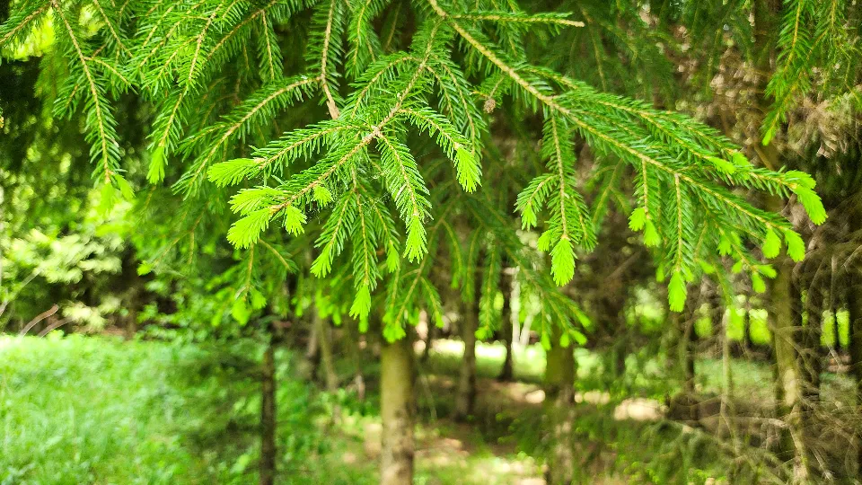 Фото: Мария Андрюхина