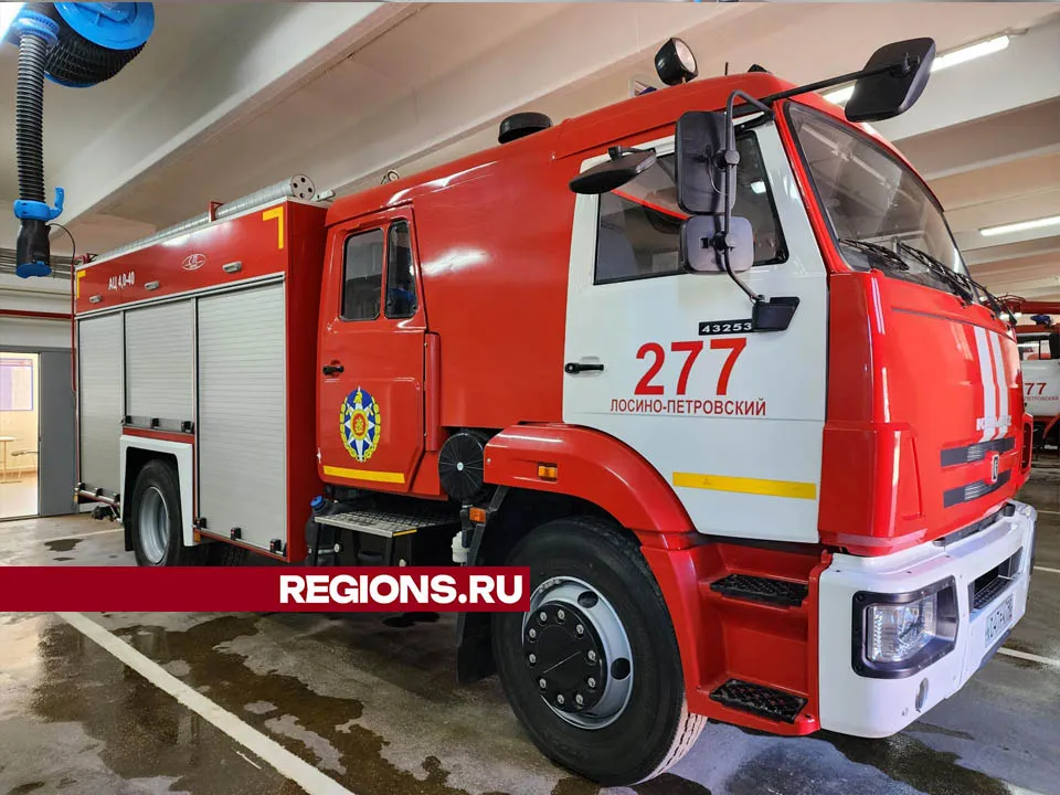 Фото: Валерия Тингаева