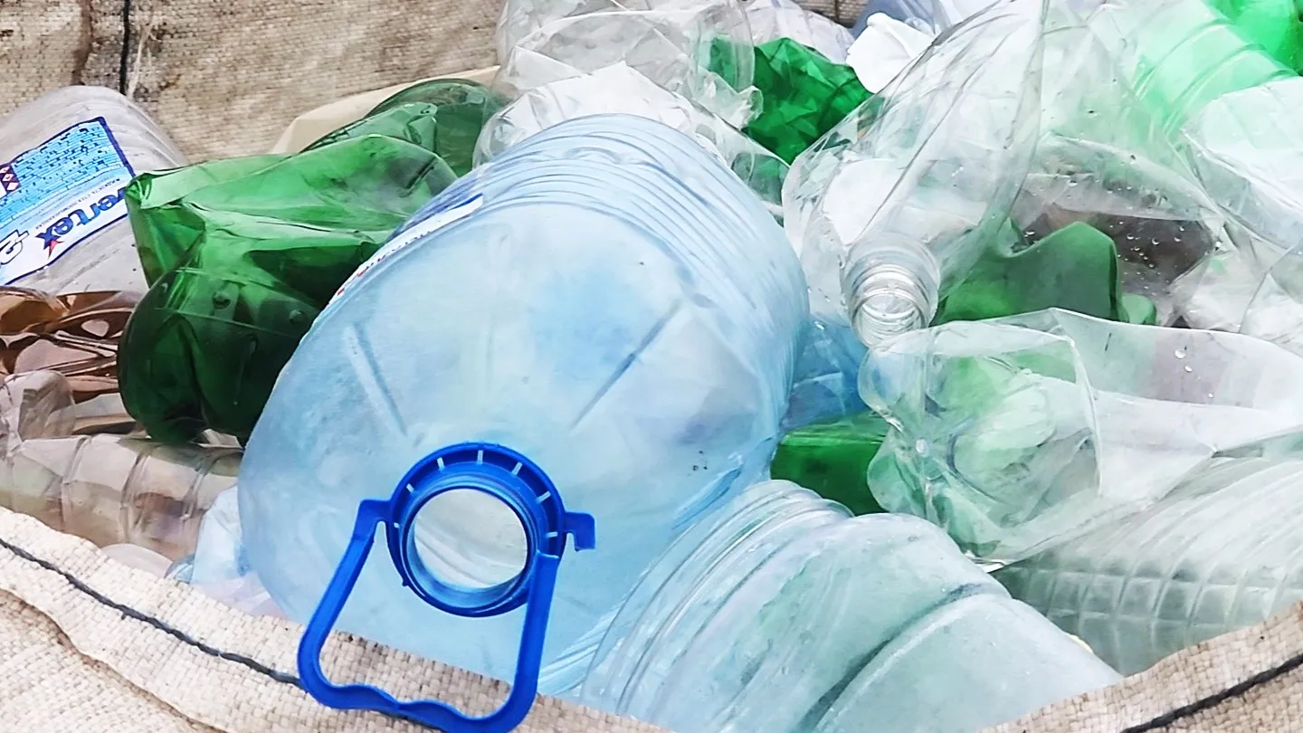 Фото: МедиаБанк Подмосковья/Марина Анисимова