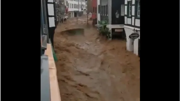 Скрин видео.